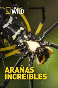Incredible Spiders - Poster