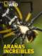 Incredible Spiders