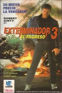 The Bounty Hunter - Poster