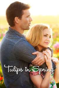 Tulips in Spring - Poster