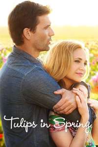 Tulips in Spring - Poster