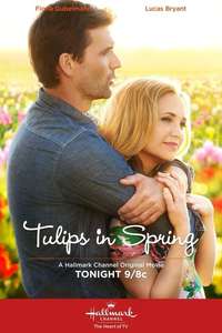 Tulips in Spring - Poster