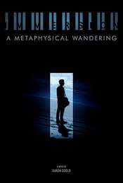 Immersion: A Metaphysical Wandering