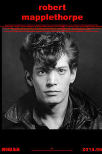 Mapplethorpe: Look at the Pictures - Poster