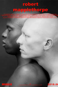 Mapplethorpe: Look at the Pictures - Poster