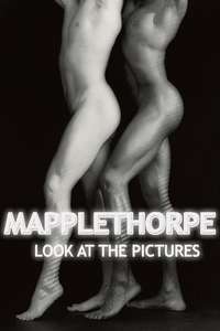 Mapplethorpe: Look at the Pictures - Poster