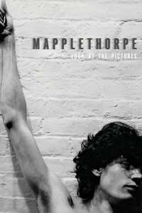 Mapplethorpe: Look at the Pictures - Poster