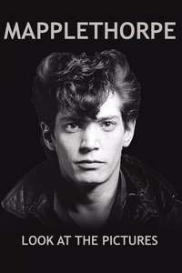 Mapplethorpe: Look at the Pictures - Poster