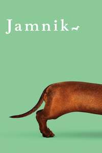 Wiener-Dog - Posters