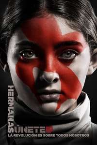 The Hunger Games: Mockingjay - Part 2 - Poster