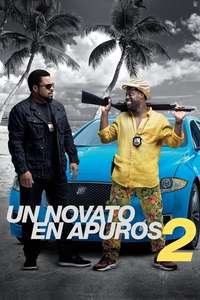 Ride Along 2 - Posters