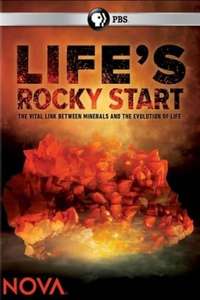 Life's Rocky Start - Poster