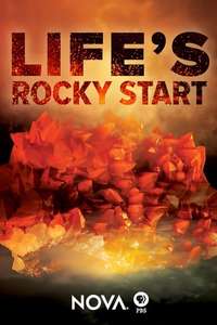 Life's Rocky Start - Poster