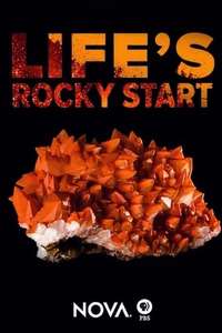 Life's Rocky Start - Poster