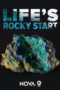 Life's Rocky Start - Poster