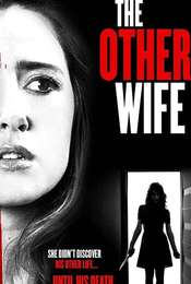The Other Wife