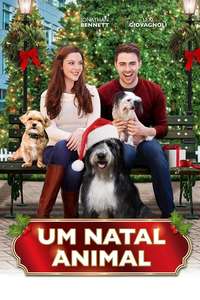 A Dogwalker's Christmas Tale - Poster