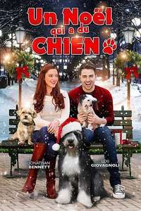 A Dogwalker's Christmas Tale - Poster