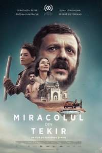 The Miracle of Tekir - Poster