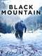 Black Mountain Side