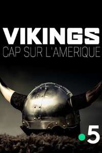 The Vikings Uncovered - Poster