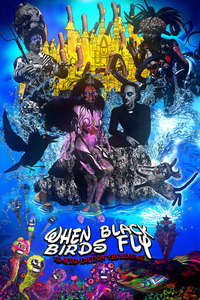 When Black Birds Fly - Poster
