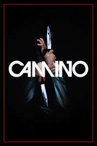 Camino - Poster