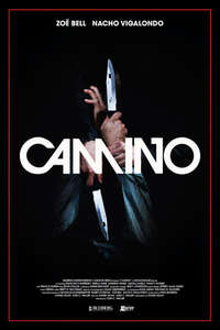 Camino - Poster