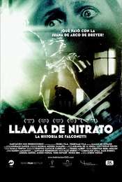 Nitrate Flames