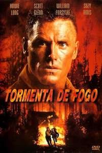Firestorm - Poster