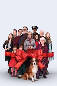 Love the Coopers - Poster