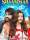 Shaandaar