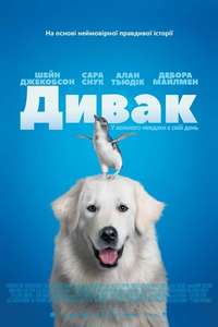 Oddball - Poster