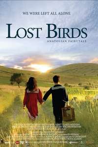 LOST BIRDS - Poster