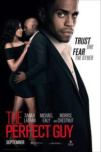 The Perfect Guy - Poster