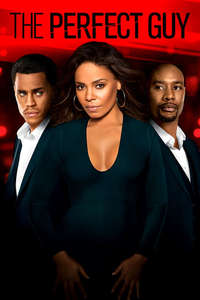The Perfect Guy - Poster