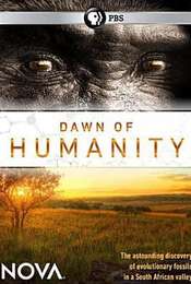 Dawn of Humanity