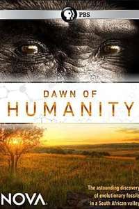 Dawn of Humanity - Poster
