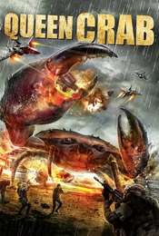 Queen Crab