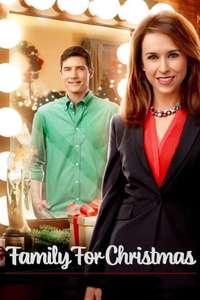 Family for Christmas - Posters