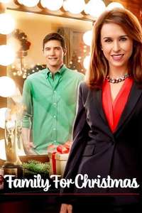Family for Christmas - Posters