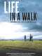 Life in a Walk