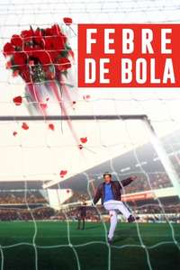 Fever Pitch - Poster