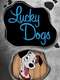 Lucky Dogs