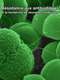 The Nature of Things: The Antibiotic Hunters