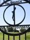 The Branch Davidians: In Their Own Words