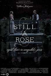 Still a Rose