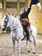 Lucy Worsley's Reins of Power: The Art of Horse Dancing