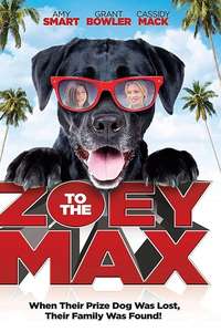 Zoey to the Max - Poster