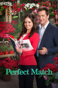 Perfect Match - Poster
